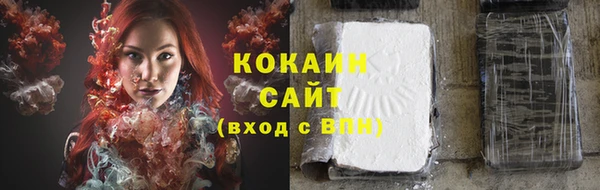 амф Горняк