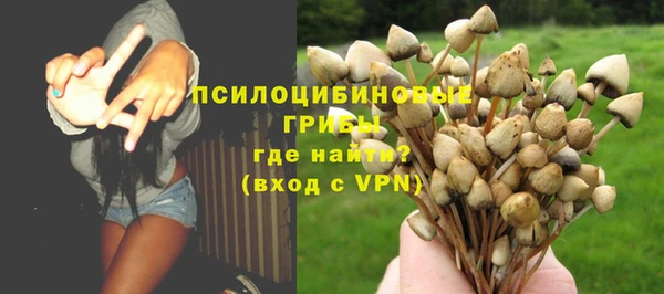 прущий лед Горнозаводск