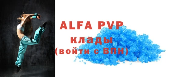 амф Горняк