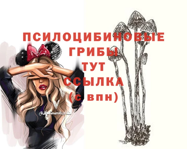 прущий лед Гусиноозёрск