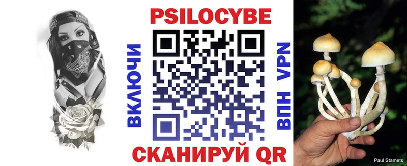 цены   Зверево  Псилоцибиновые грибы мицелий 